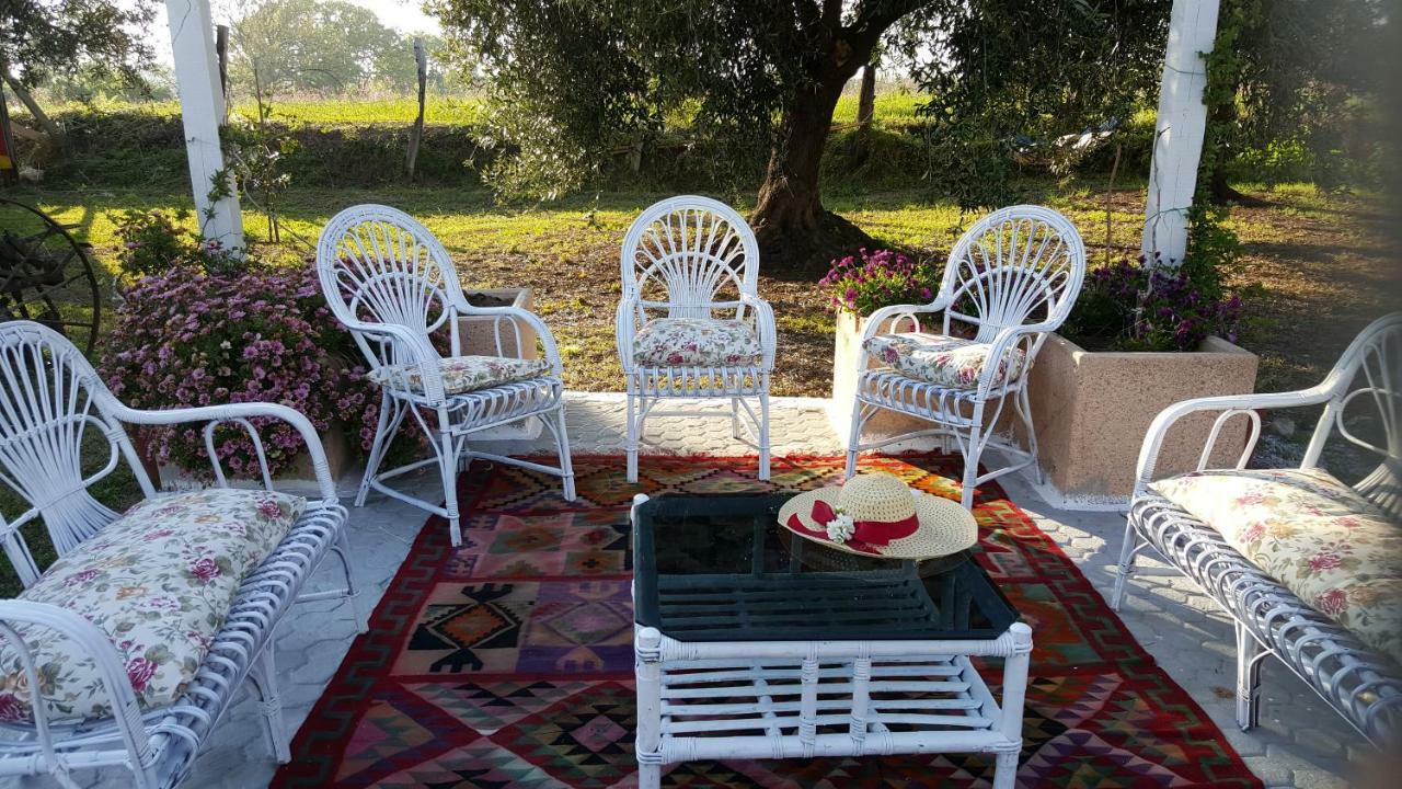 Agriturismo Heaven Капо-Ватикано Экстерьер фото